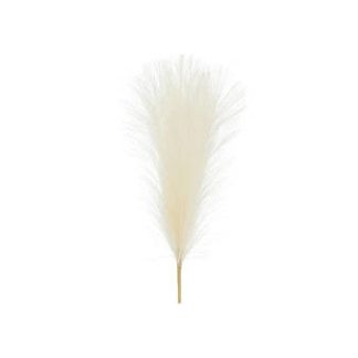Umjetna Pampas Trava, 10x45 cm, Light Cream