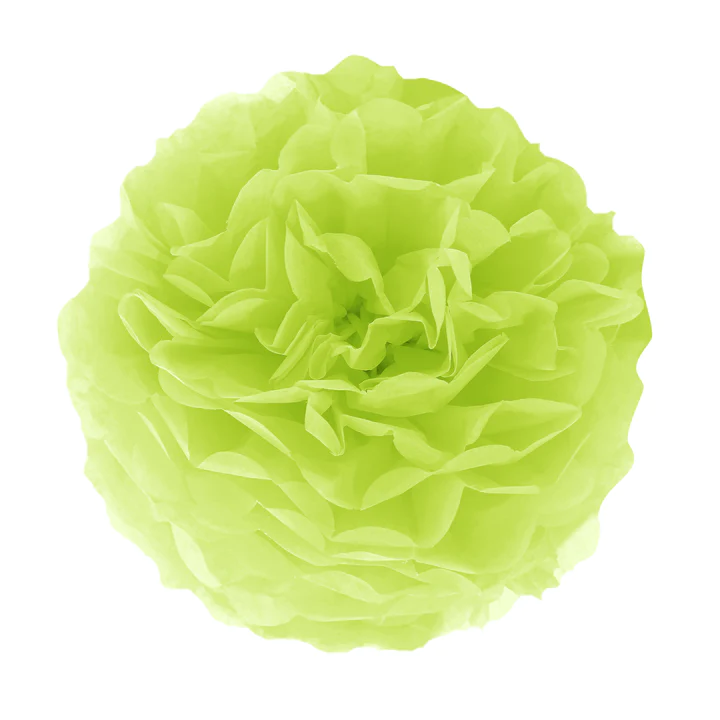Pompon Zeleni, 25 cm