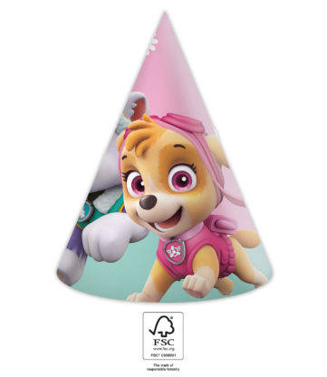 Party / Rođendan Kapica - Paw Patrol Skye i Everest, 6kom