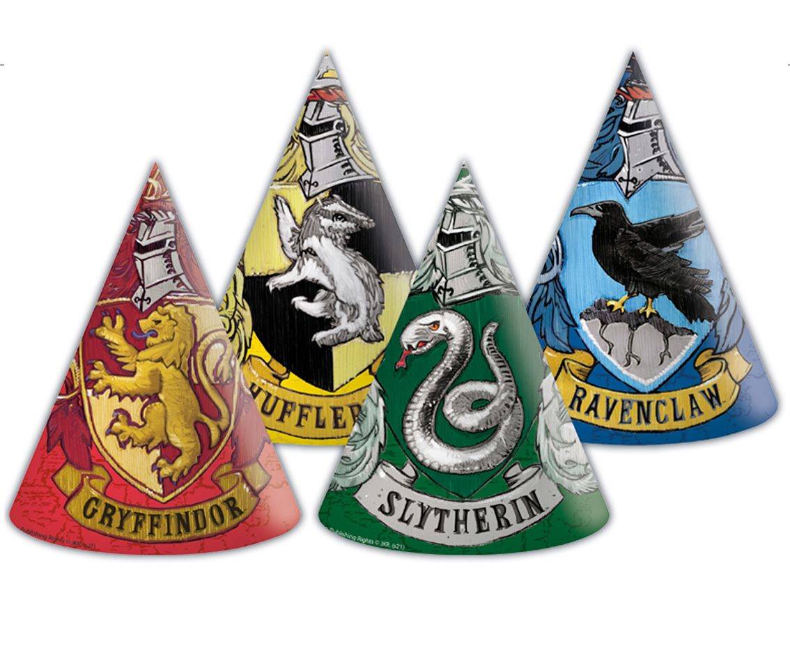 Party / Rođendan Kapica - Harry Potter, 6kom